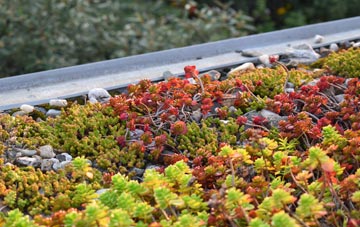 the cost of Manswood green roof installation