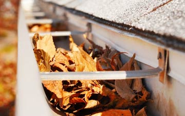 Manswood gutter cleaning companies