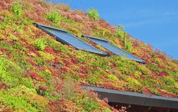 Manswood living roof systems
