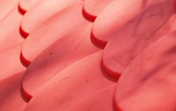 Manswood plastic roof costs