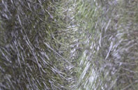 Manswood fibreglass roof work